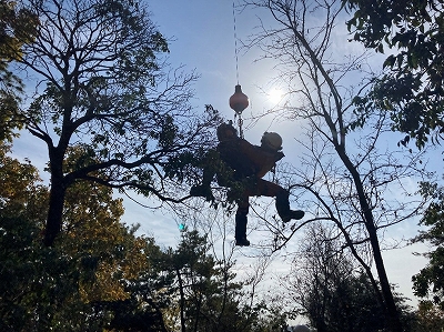 航空隊による救出活動