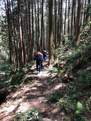 牧野コース調査中