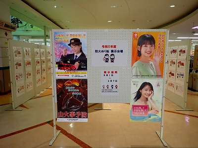 展示の様子