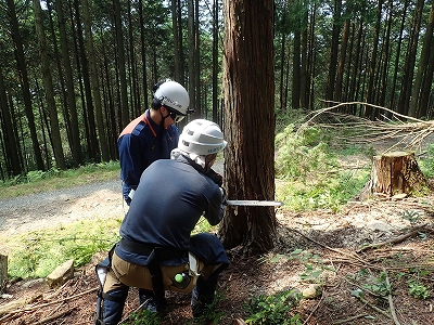 チェンソー取扱い実技2